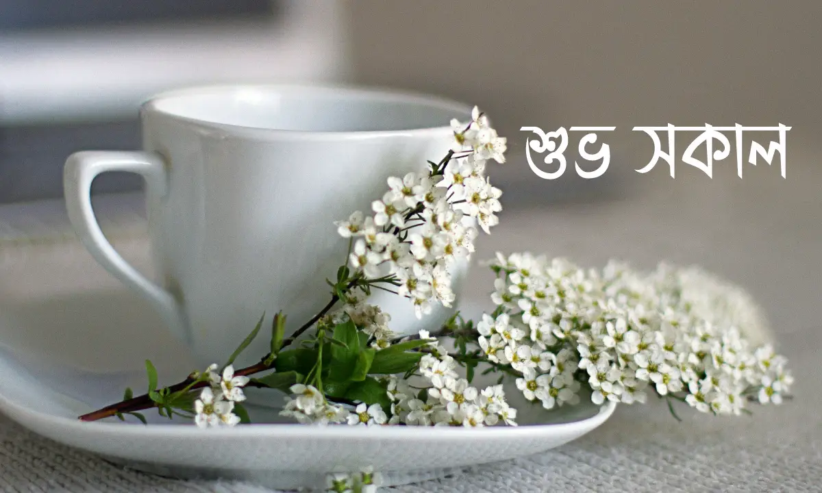 শুভ সকাল নিয়ে ক্যাপশন