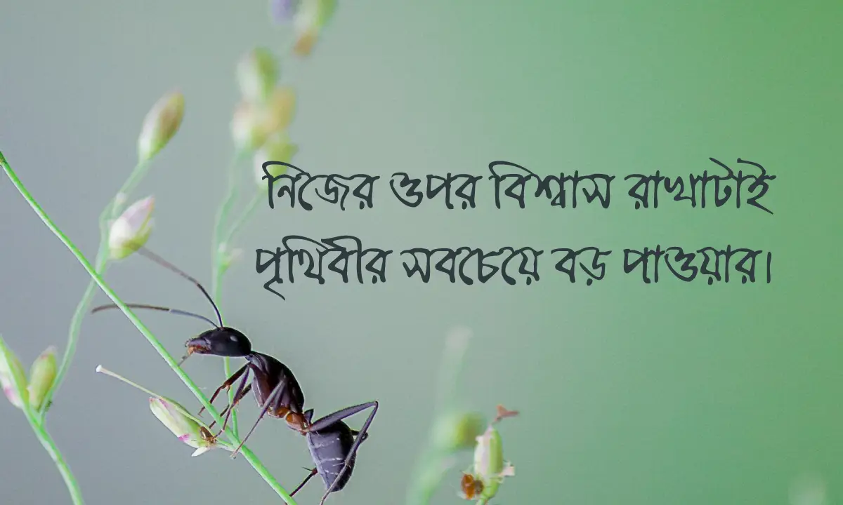 মানুষ নিয়ে ক্যাপশন