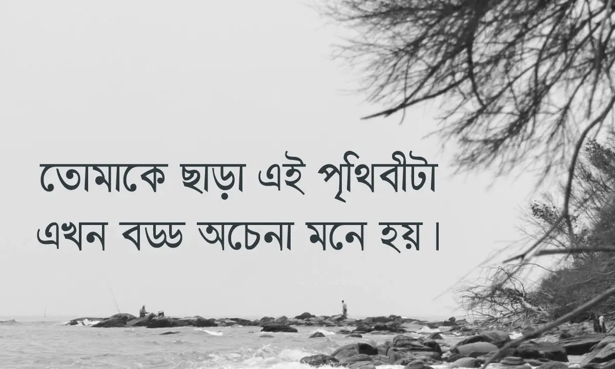 150+ মৃত্যু নিয়ে সেরা ক্যাপশন