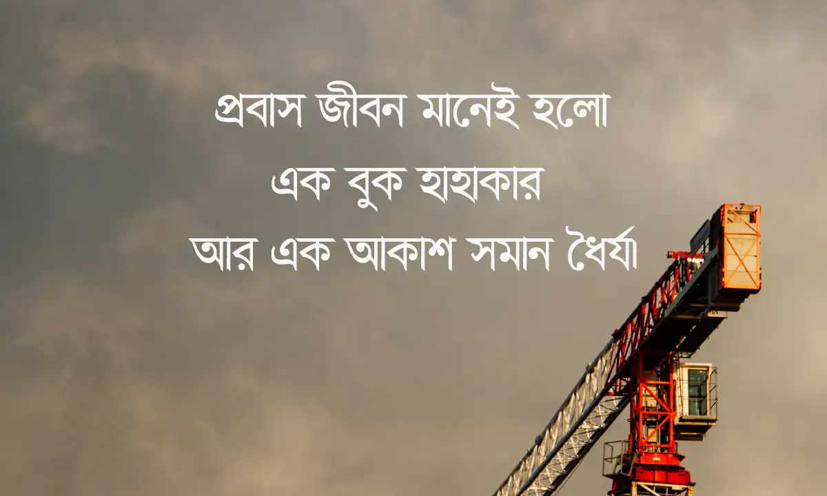 সফল প্রবাসী হওয়ার লড়াই ও প্রবাস জীবন নিয়ে ক্যাপশন