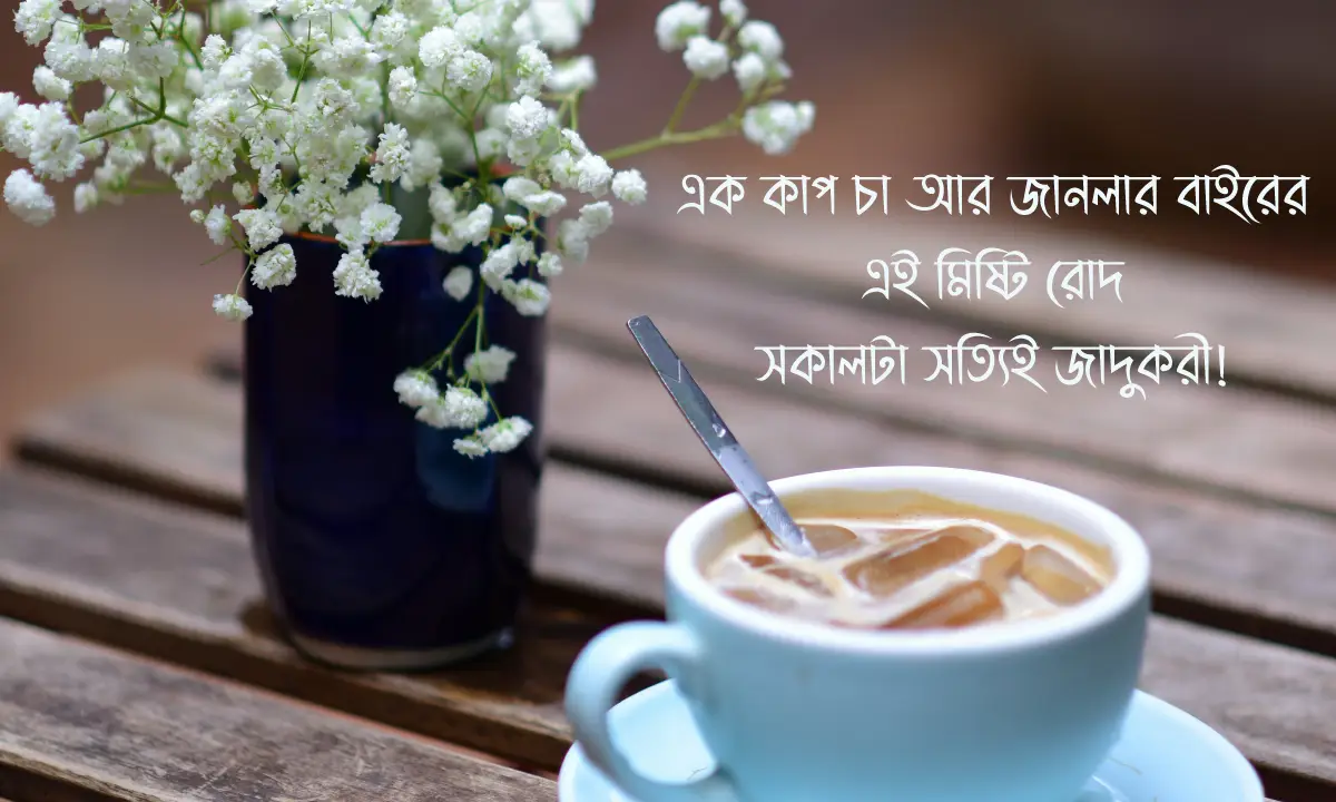 শুভ সকাল নিয়ে স্ট্যাটাস