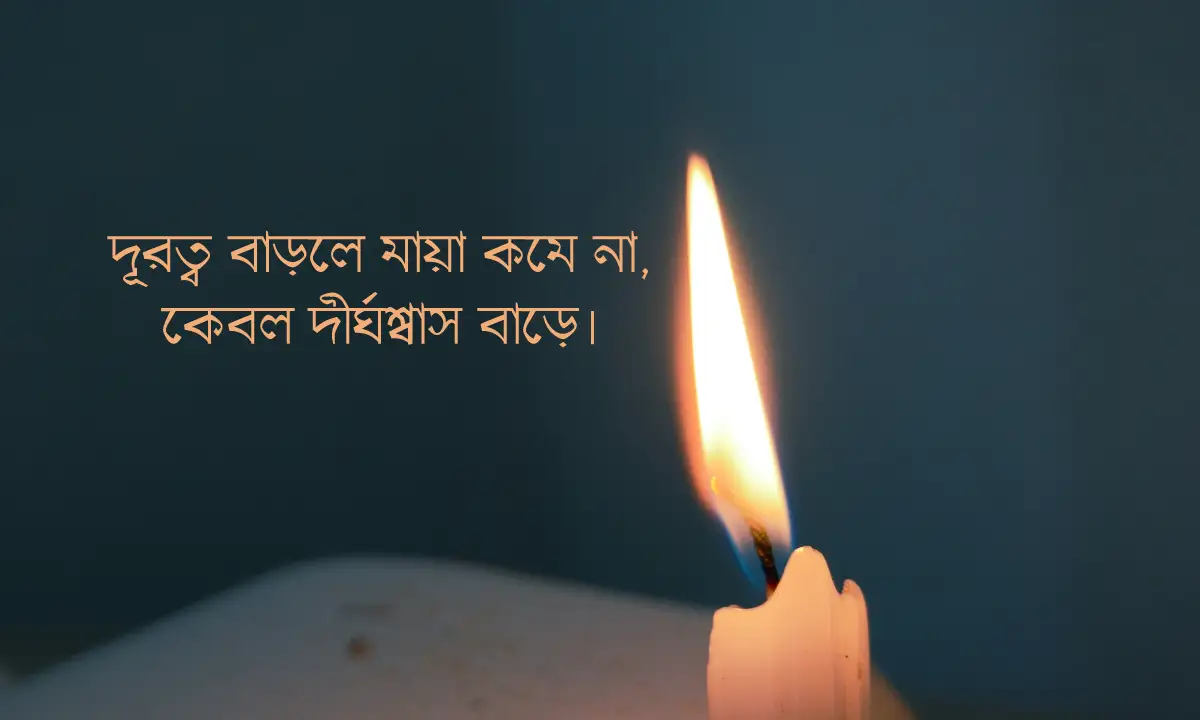 সেরা বিরহের ক্যাপশন ও উক্তি