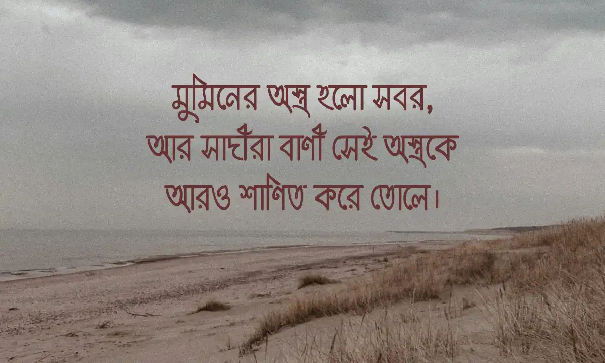 শেখ সাদীর কবিতা ও বাণী