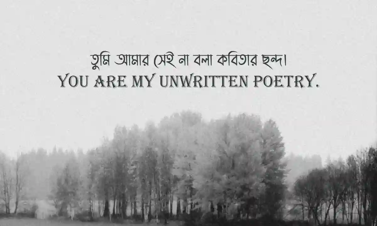 ইউনিক বাংলা শর্ট ক্যাপশন