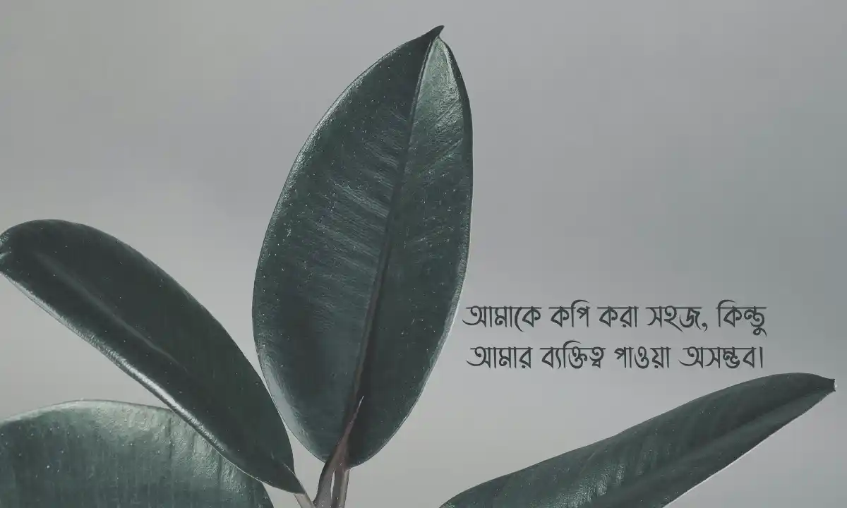 নতুন বাংলা শর্ট ক্যাপশন