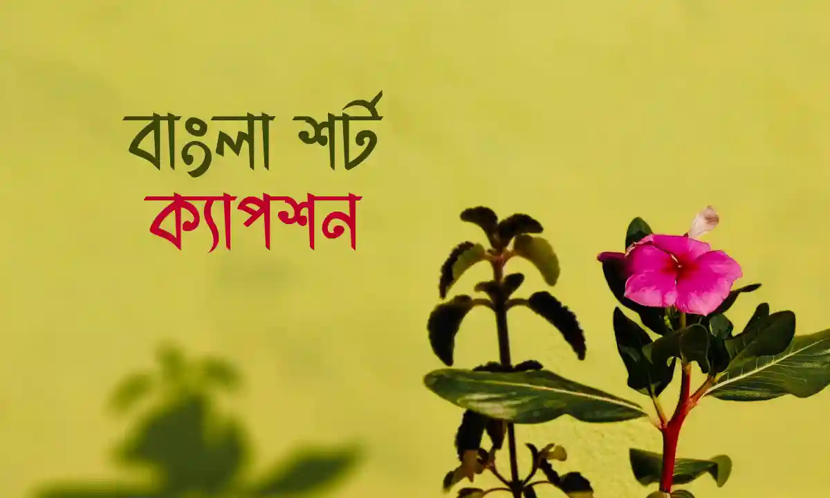 বাংলা শর্ট ক্যাপশন