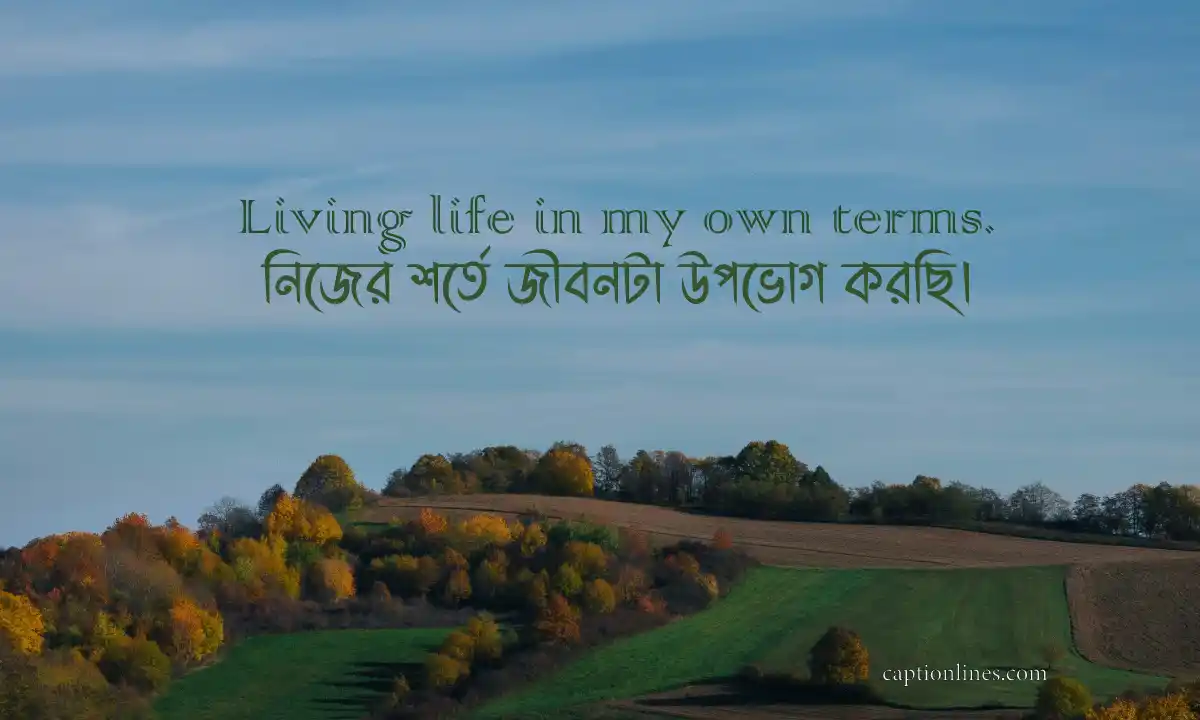 সেরা বায়ো কালেকশন 2026