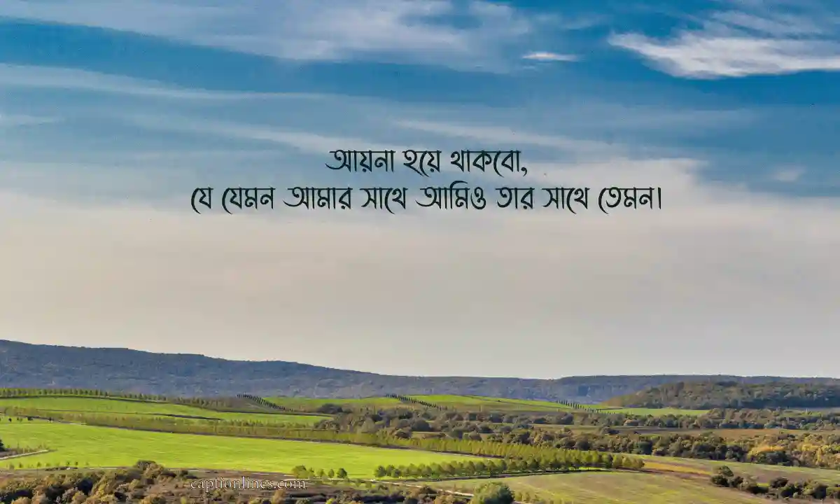 সেরা বায়ো কালেকশন ইউনিক