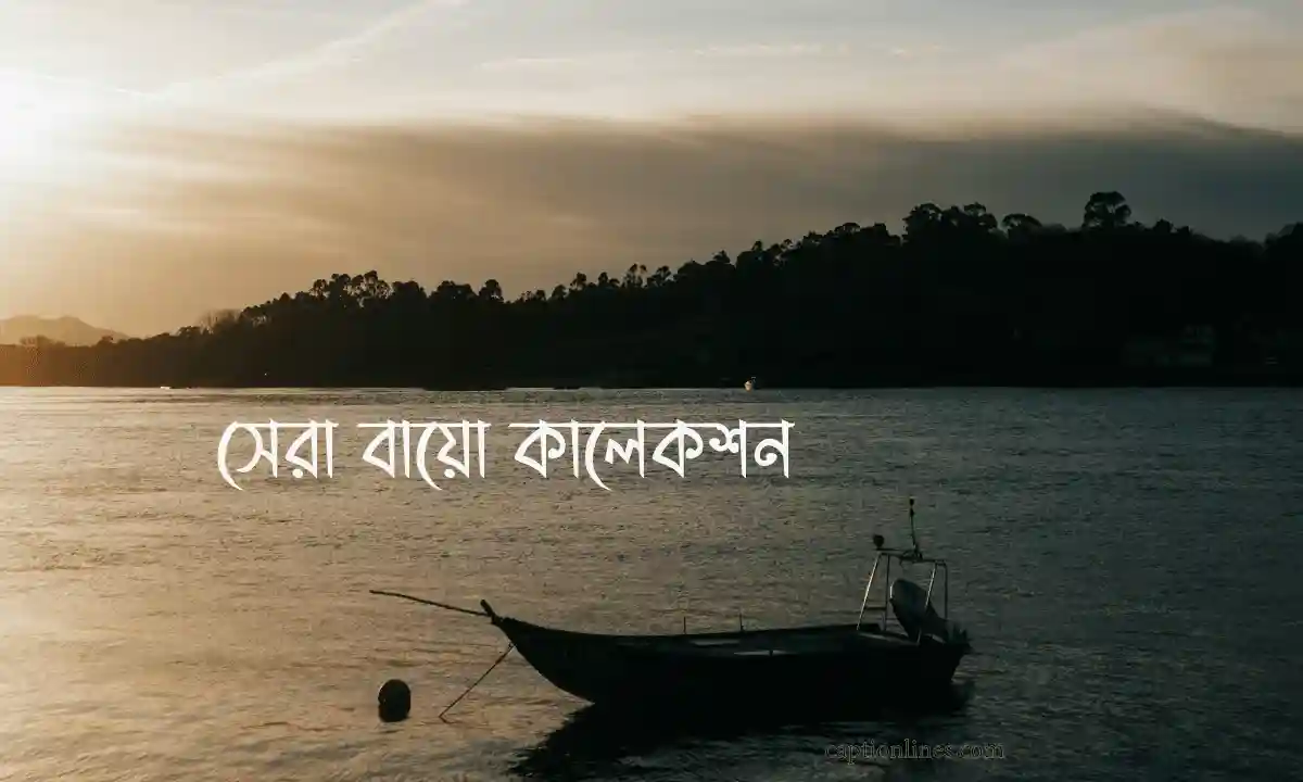 ২০২৬ সালের সেরা বাংলা বায়ো কালেকশন