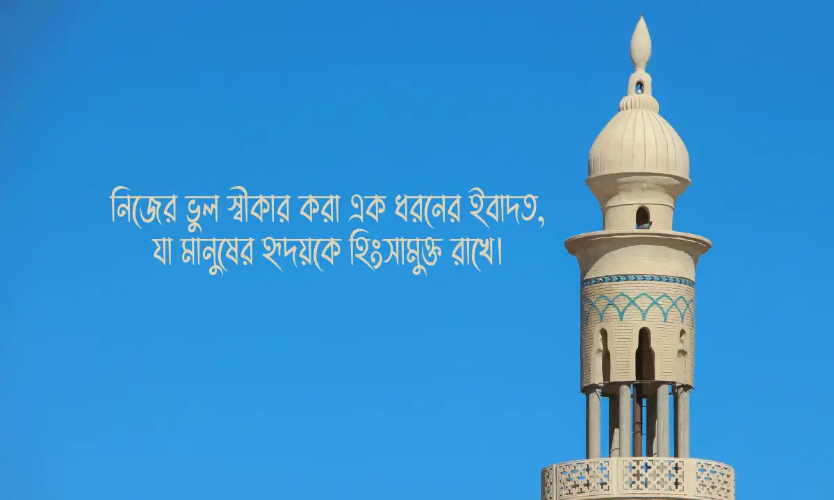 সেরা ইসলামিক ক্যাপশন ও স্ট্যাটাস