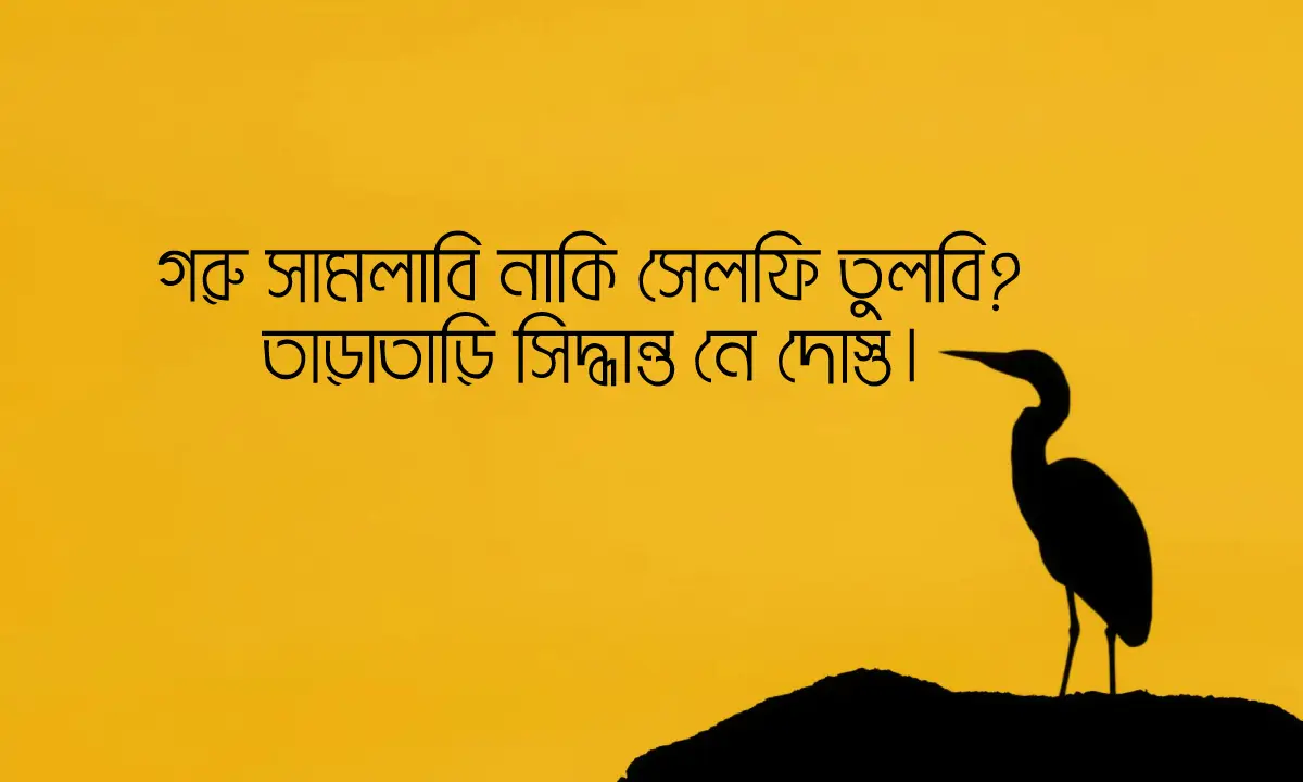 কোরবানির ঈদের নতুন ক্যাপশন ও শুভেচ্ছা ছন্দ