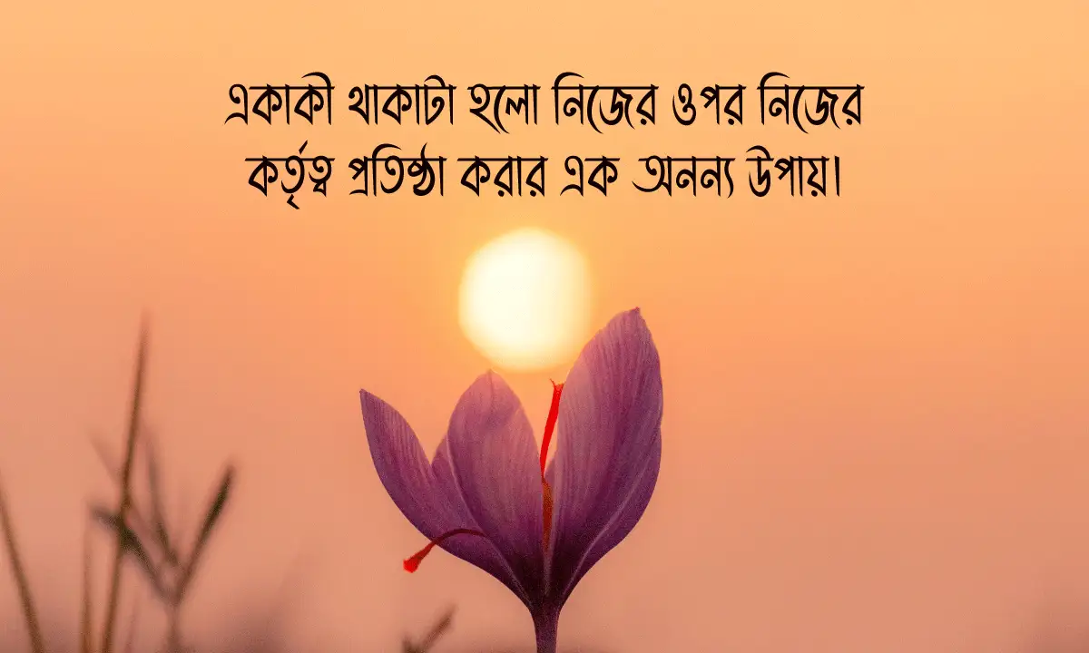 একাকিত্ব নিয়ে ক্যাপশন ও উক্তি