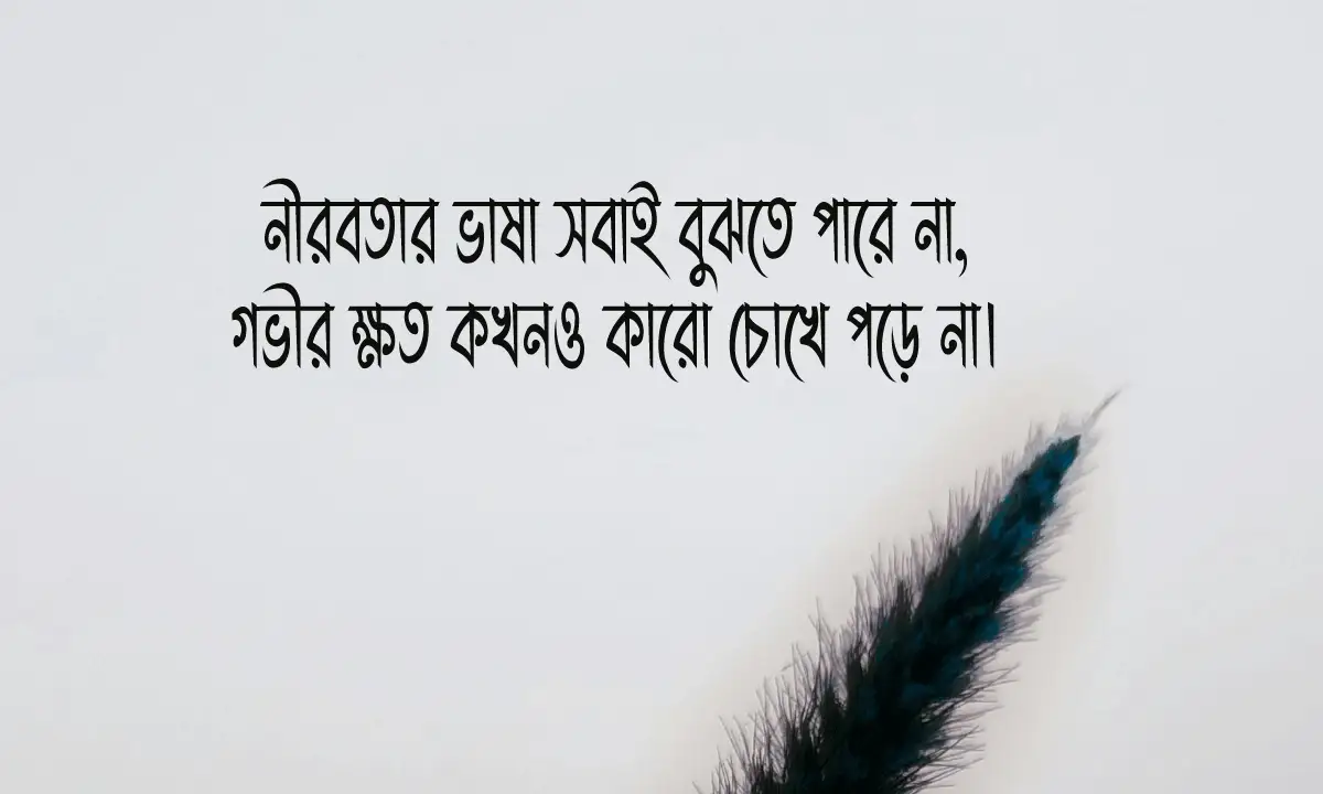 ফেসবুক স্ট্যাটাস ও ক্যাপশন 2026। facebook &zwj;status