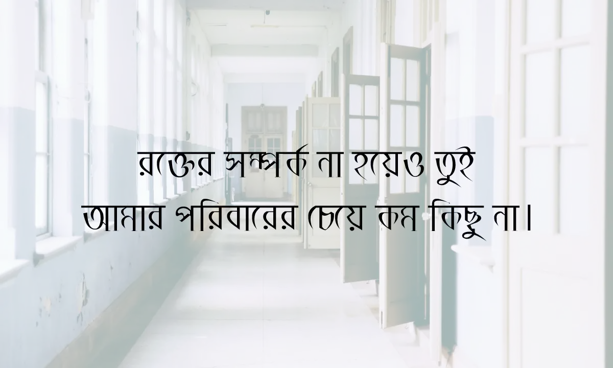 বন্ধু নিয়ে স্ট্যাটাস