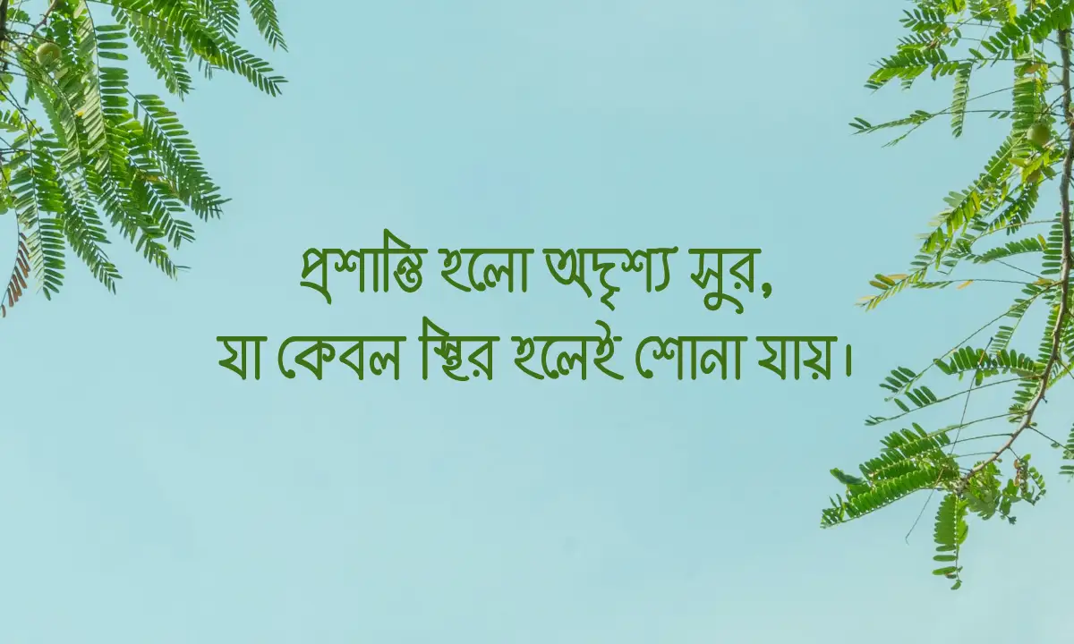 মানসিক শান্তি নিয়ে উক্তি