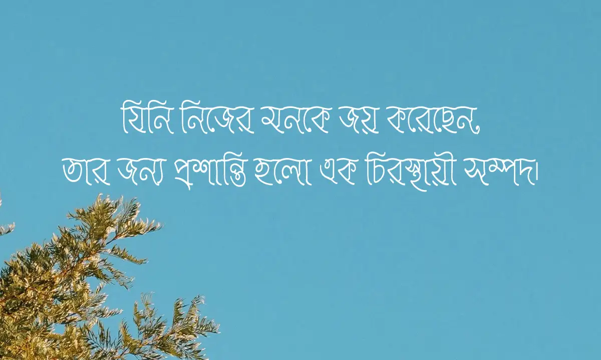 মানসিক শান্তি নিয়ে কিছু কথা