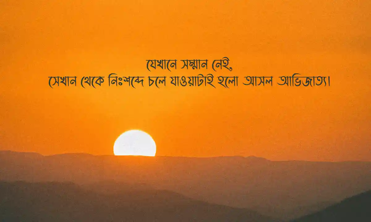 বাচাইকৃত নিজেকে নিয়ে এটিটিউড ক্যাপশন 2026