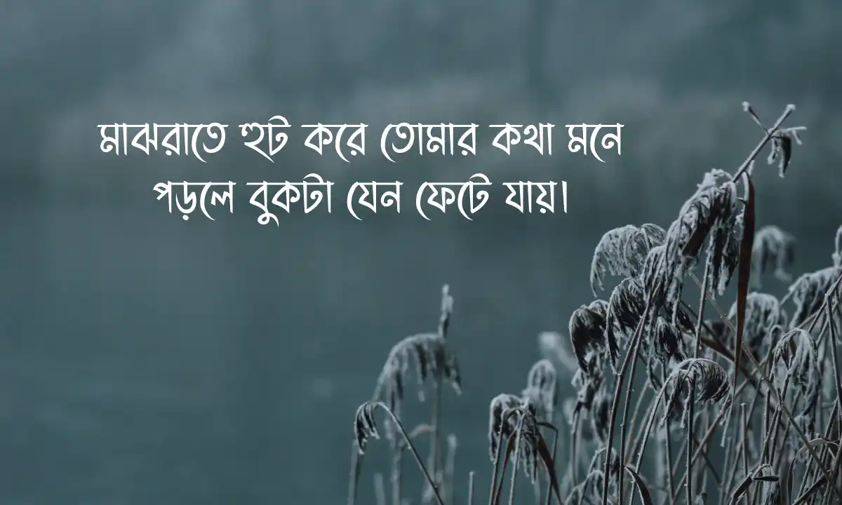 অব্যক্ত ভালোবাসার কষ্টের স্ট্যাটাস 2026