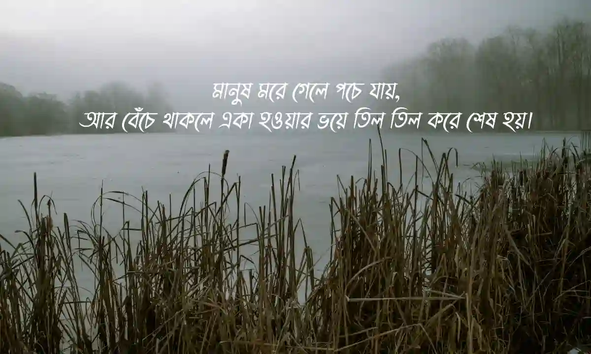 অব্যক্ত ভালোবাসার কষ্টের স্ট্যাটাস সেরা