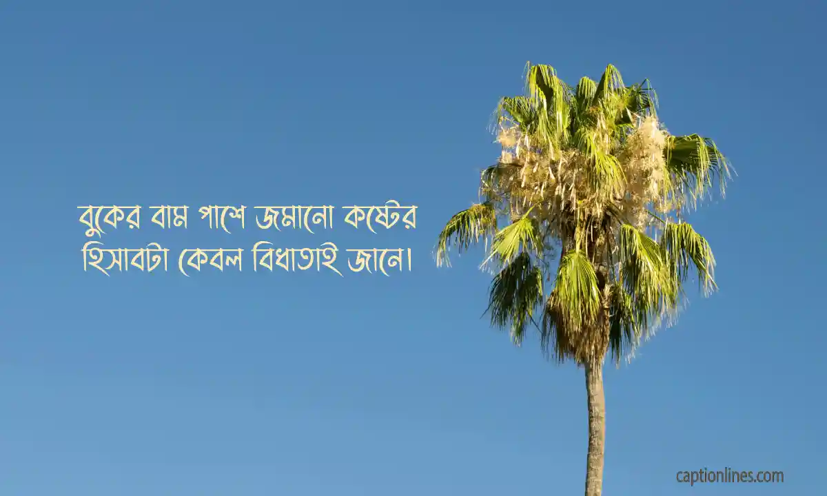 এক লাইনে সেরা ক্যাপশন আপডেট 2026