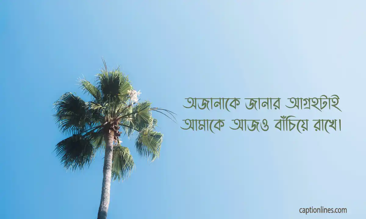 এক লাইনে সেরা ক্যাপশন আপডেট