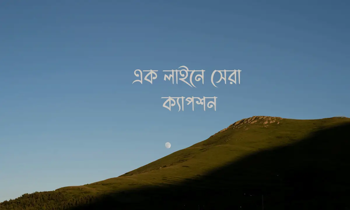 এক লাইনে সেরা ক্যাপশন