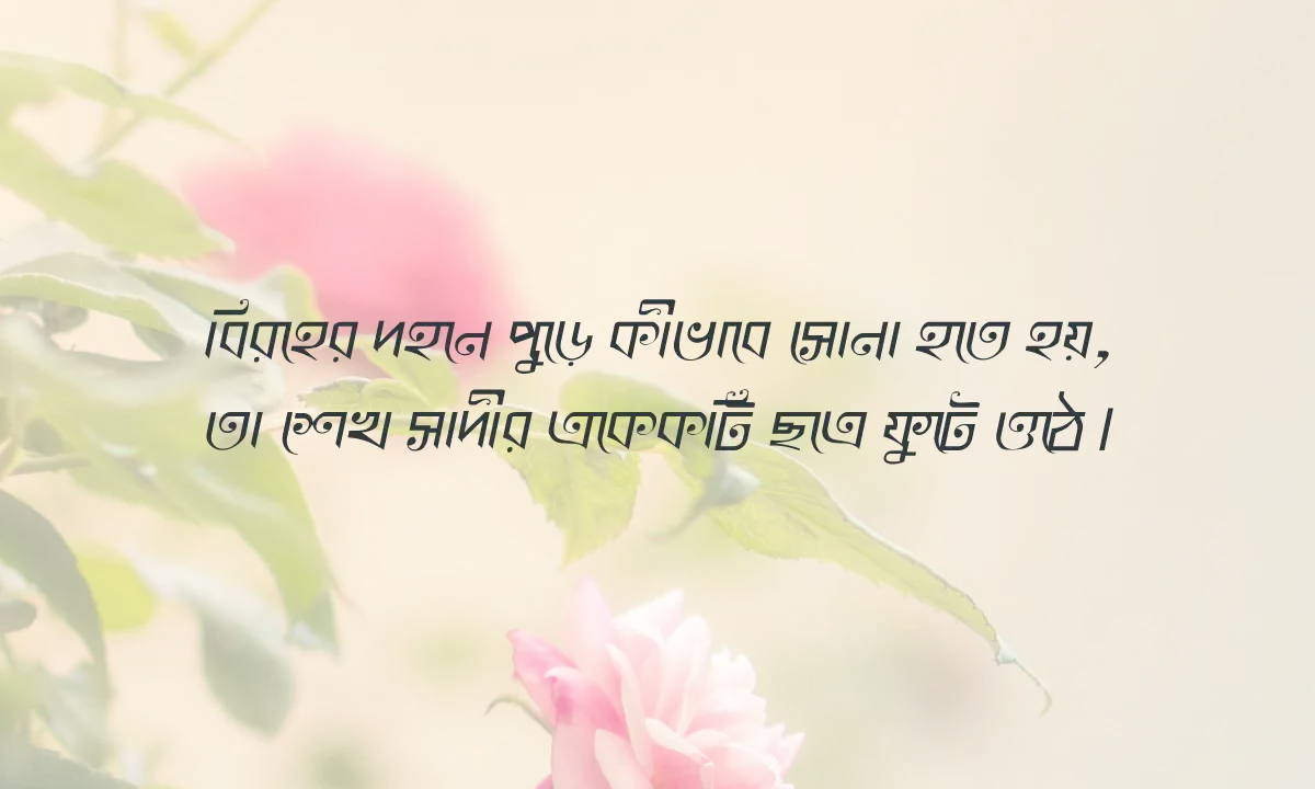 শেখ সাদীর উক্তি