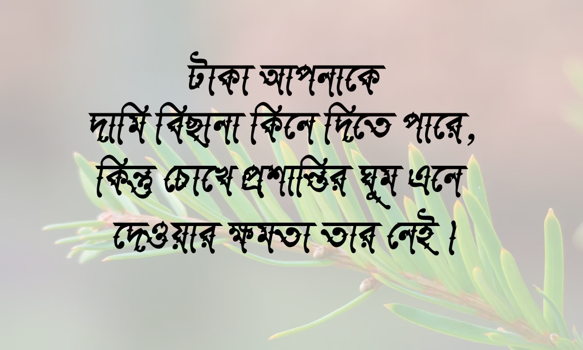 টাকা নিয়ে বাচাইকৃত স্ট্যাটাস 2026