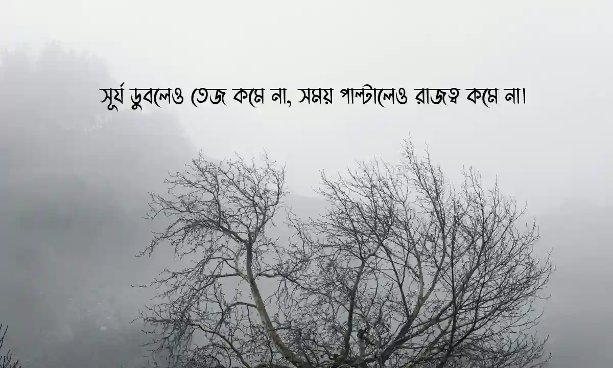 ভাইরাল স্ট্যাটাস ও ক্যাপশন 2026