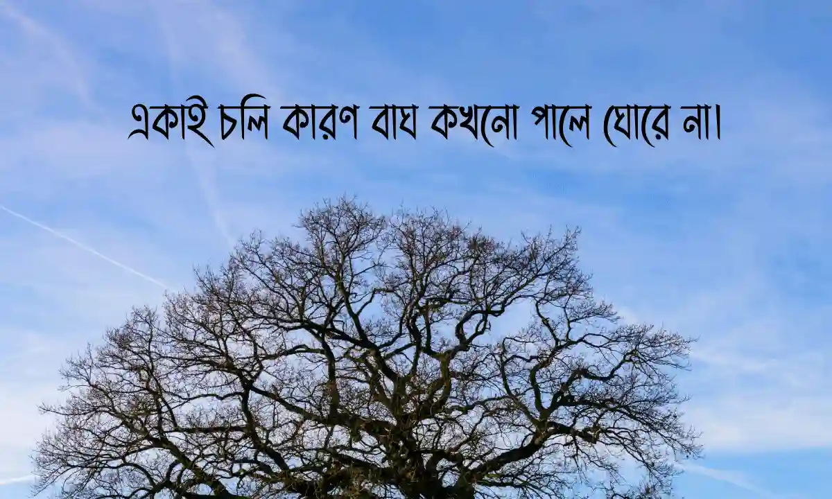 ভাইরাল স্ট্যাটাস ও ক্যাপশন । Viral