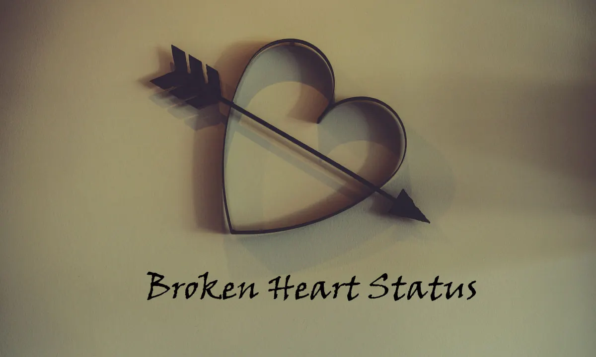 Broken Heart Status