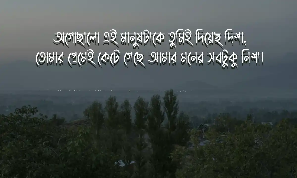 Bangla Best Wife Caption