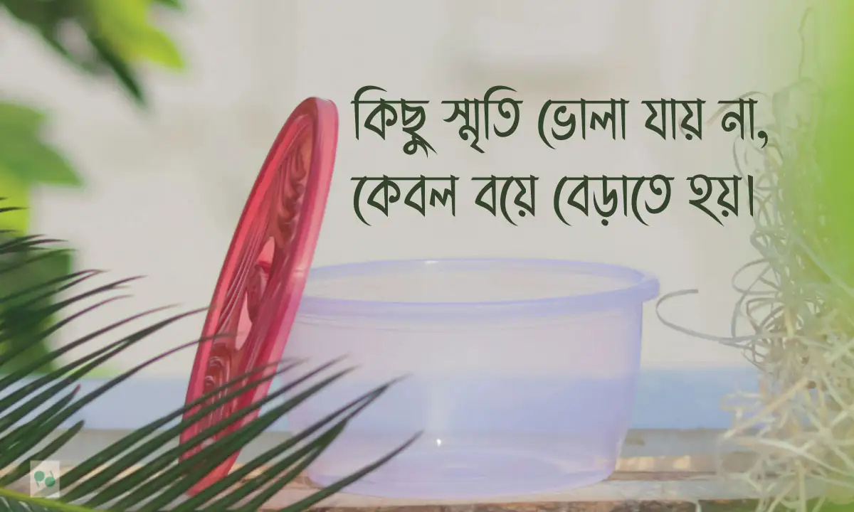 ফেসবুক কাঁপানো সেরা বাংলা ক্যাপশন ও Attitude বাংলা ক্যাপশন