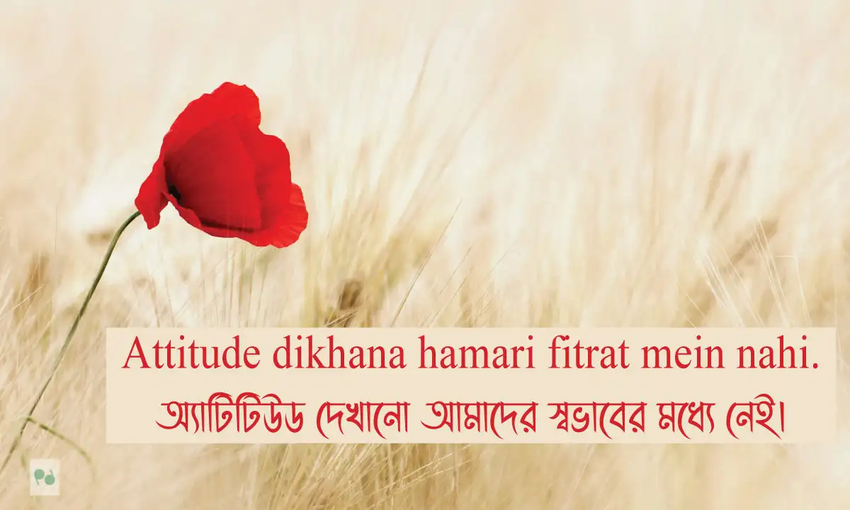 ফেসবুক কাঁপানো সেরা বাংলা ক্যাপশন ও সেরা বাংলা স্ট্যাটাস