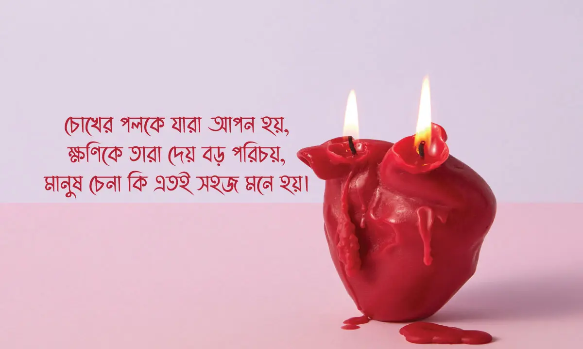 Fake Love Captions ও মানুষ চেনার ক্যাপশন