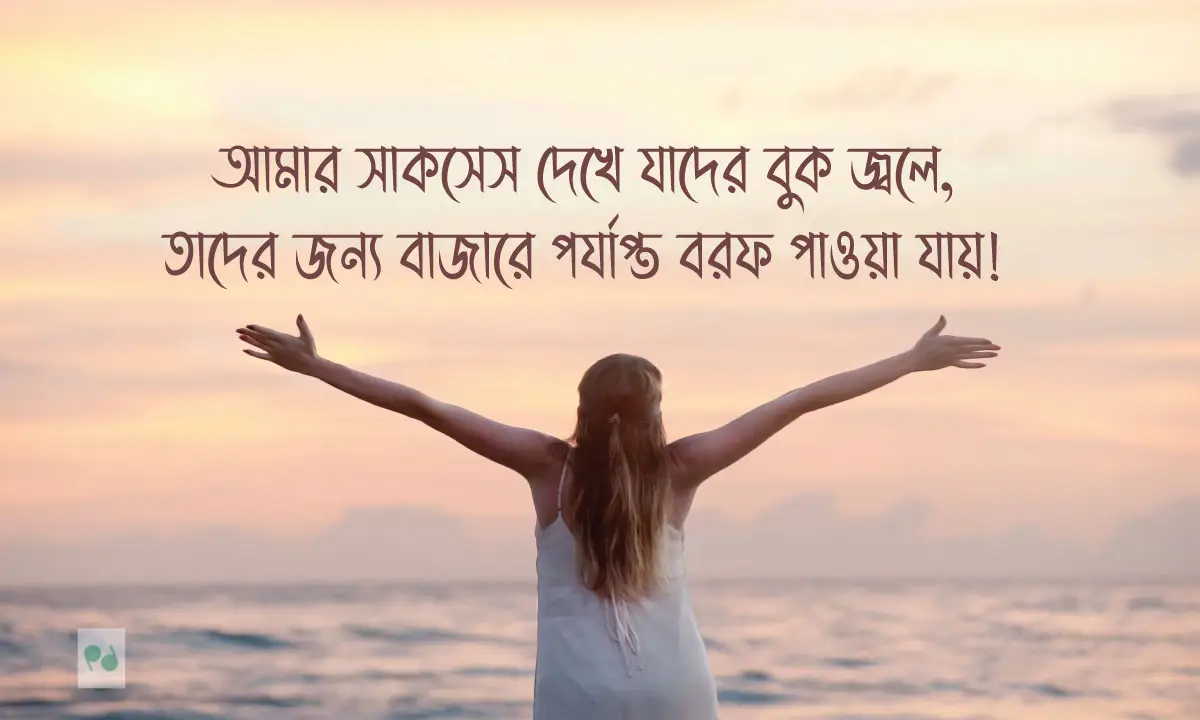 মেয়েদের বাংলা স্ট্যাটাস ও FB status bangla for girls