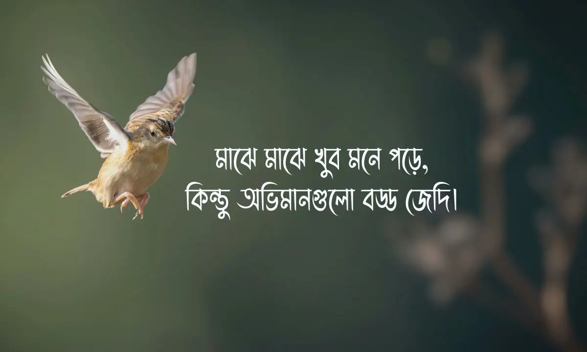 অভিমানী স্ট্যাটাস বাংলা ও মনের কথা প্রকাশের ক্যাপশন