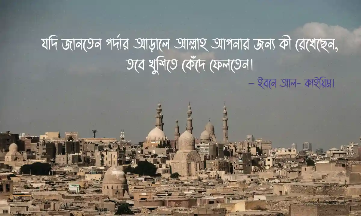 ধৈর্য ও কষ্ট নিয়ে উক্তি এবং ধৈর্য নিয়ে ইসলামিক উক্তি