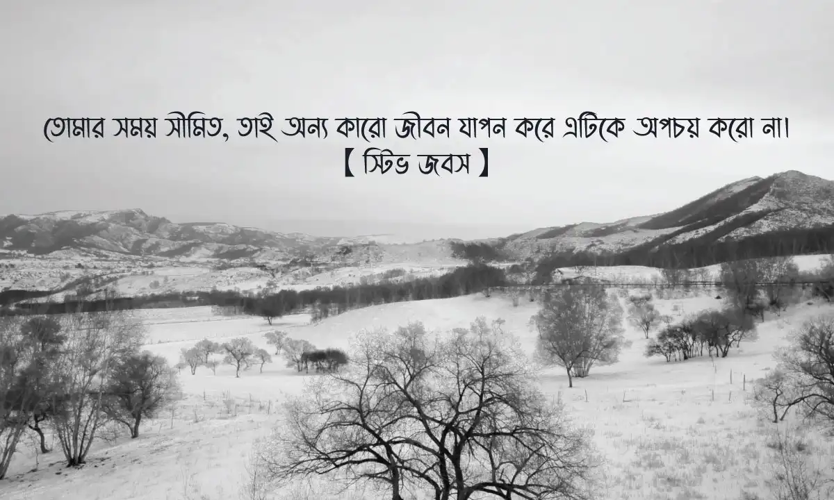 সফলতার রাজকীয় গল্প ও জীবন পরিবর্তনের স্ট্যাটাস