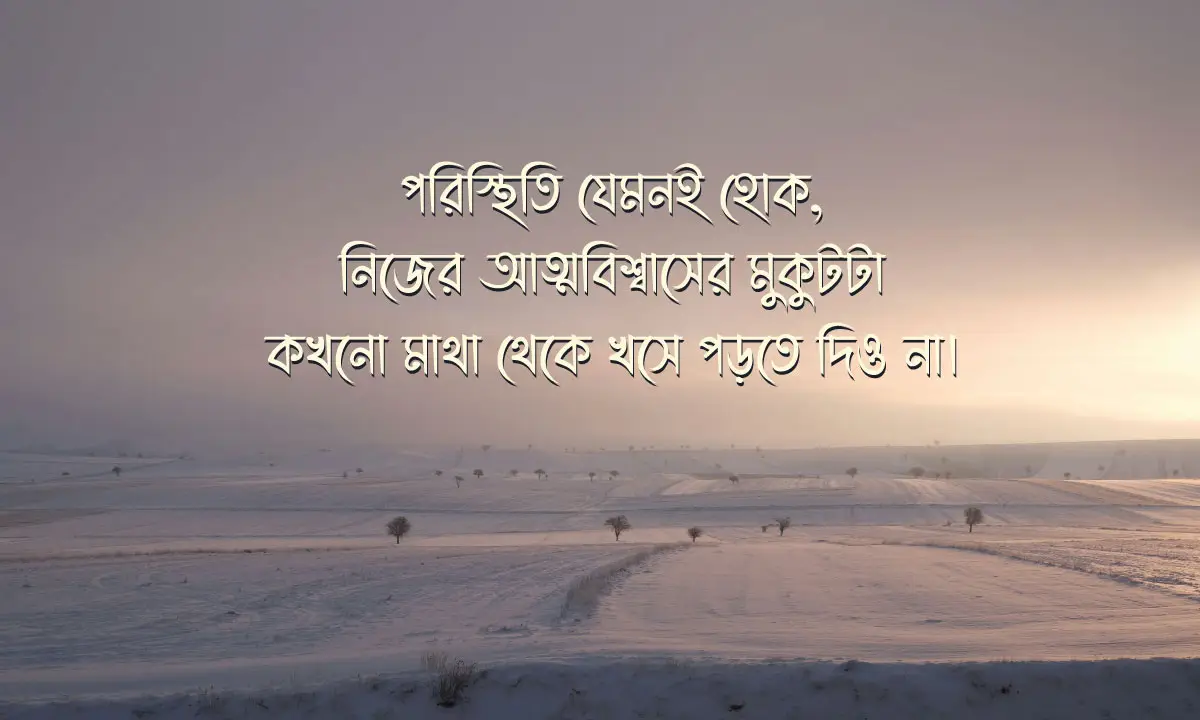 সফলতার রাজকীয় গল্প ও মোটিভেশনাল উক্তি 2026
