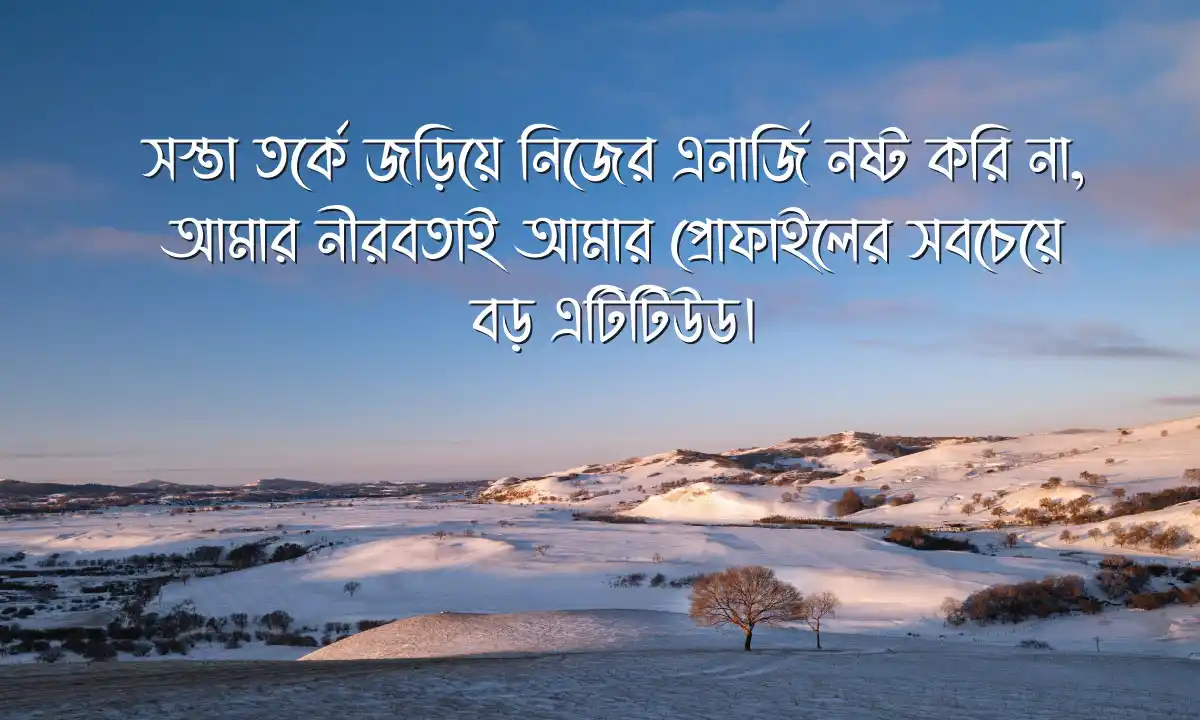 সফলতার রাজকীয় গল্প ও সফলতার ক্যাপশন