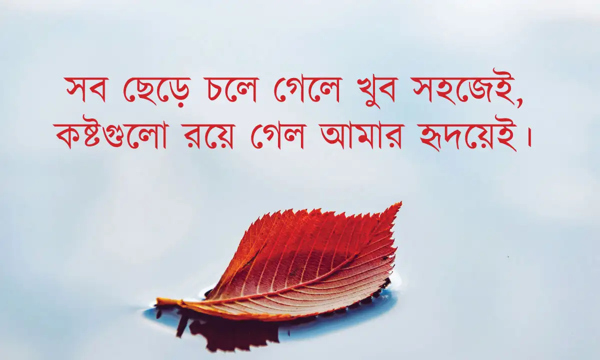 বিচ্ছেদের ক্যাপশন  ও কষ্টের স্ট্যাটাস