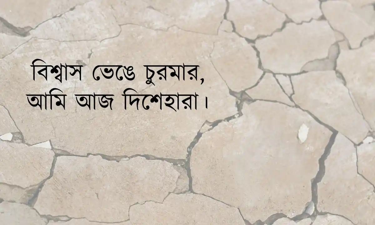 বিচ্ছেদের ক্যাপশন  ও হৃদয় ভাঙা স্ট্যাটাস