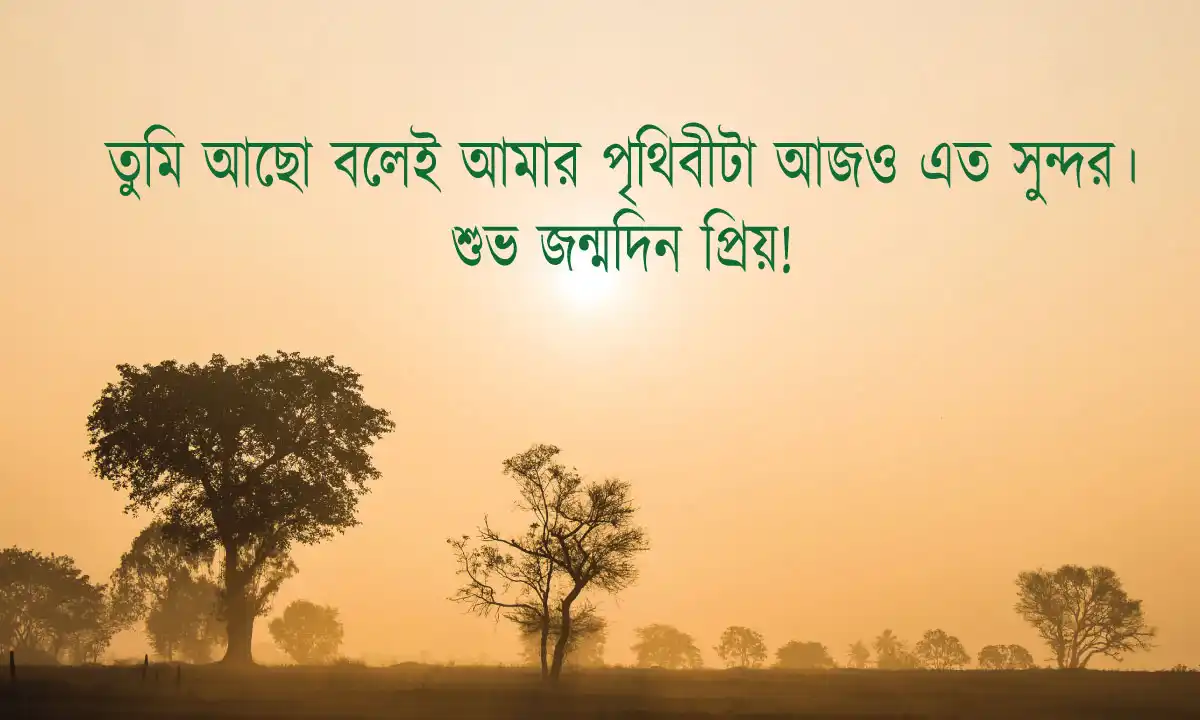 জন্মদিনের শুভেচ্ছা ও স্ট্যাটাস এবং আবেগী জন্মদিনের স্ট্যাটাস