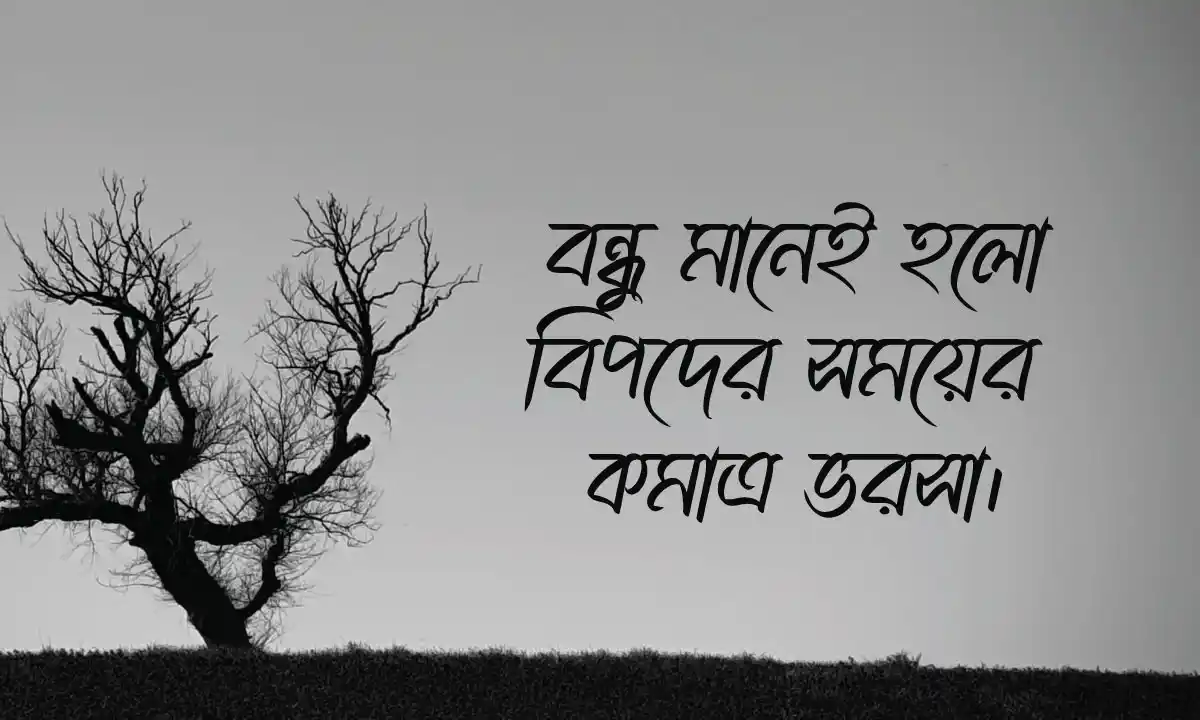 বন্ধু নিয়ে স্ট্যাটাস ও ক্যাপশন