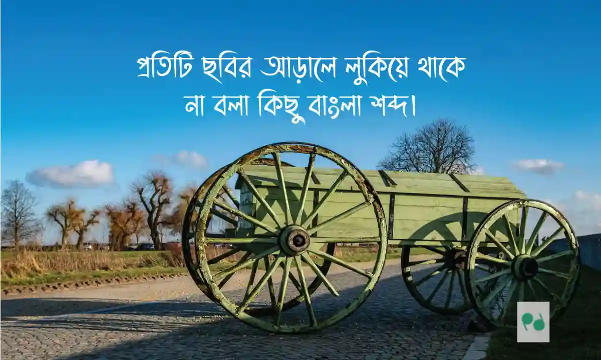 ক্যাপশন লাইনস । বাংলা ক্যাপশন