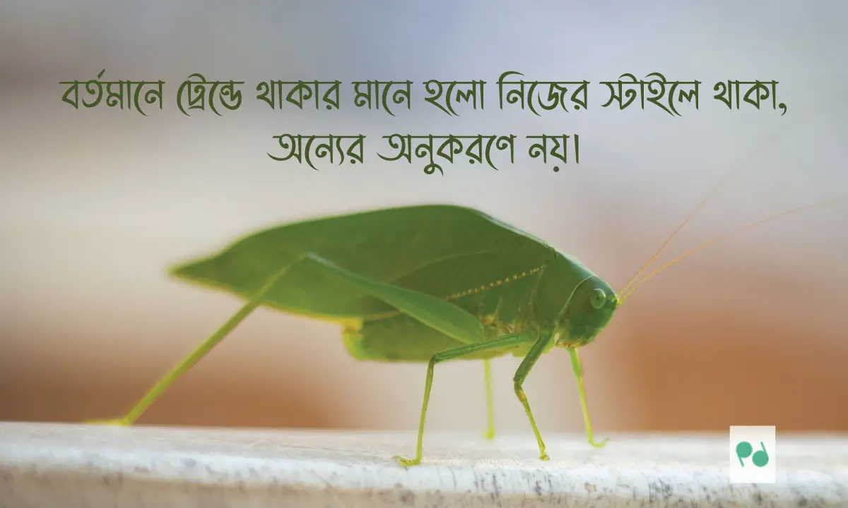 ক্যাপশন লাইনস । ট্রেন্ডি স্ট্যাটাস