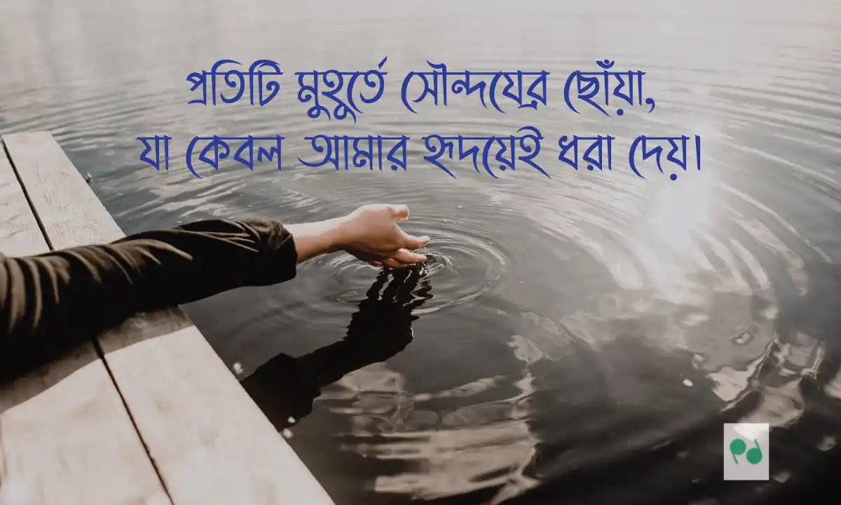 ক্যাপশন লাইনস । এস্থেটিক ক্যাপশন