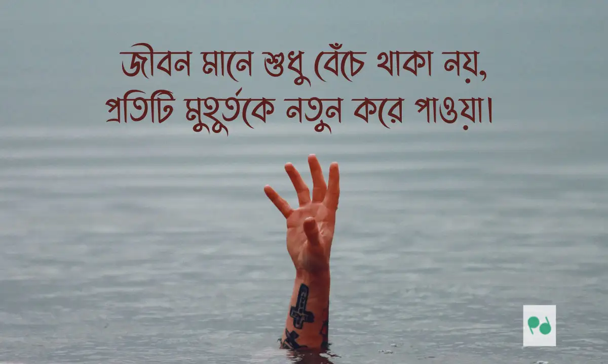 ক্যাপশন লাইনস । বাংলা উক্তি