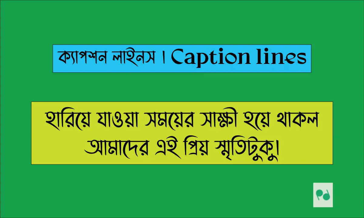 ক্যাপশন লাইনস